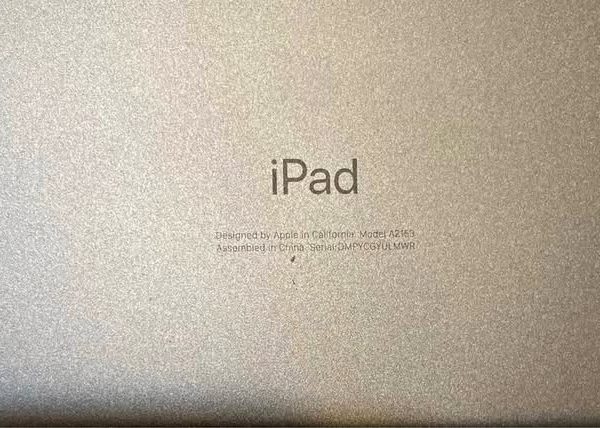 iPad Air 3rd generation, 64 GB, WiFi - GLITCHY BUT WORKS