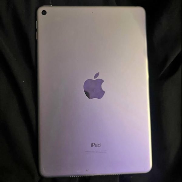 Ipad mini 5 64GB unlocked (WHITE)