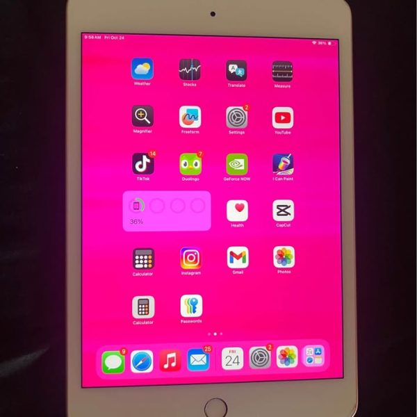 Mini Apple iPad mini 5th generation