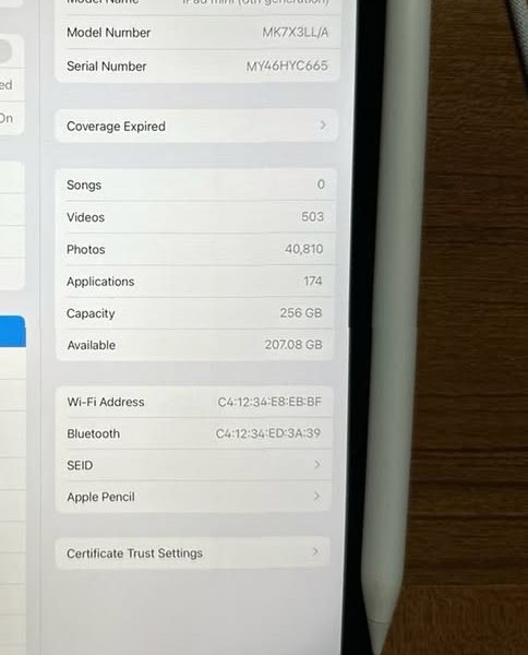 ipad mini 6th generation 256gb WiFi 9Z95