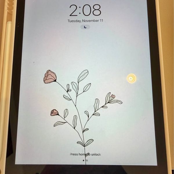 Ipad 6th gen Wi-Fi + Cellular 32GB