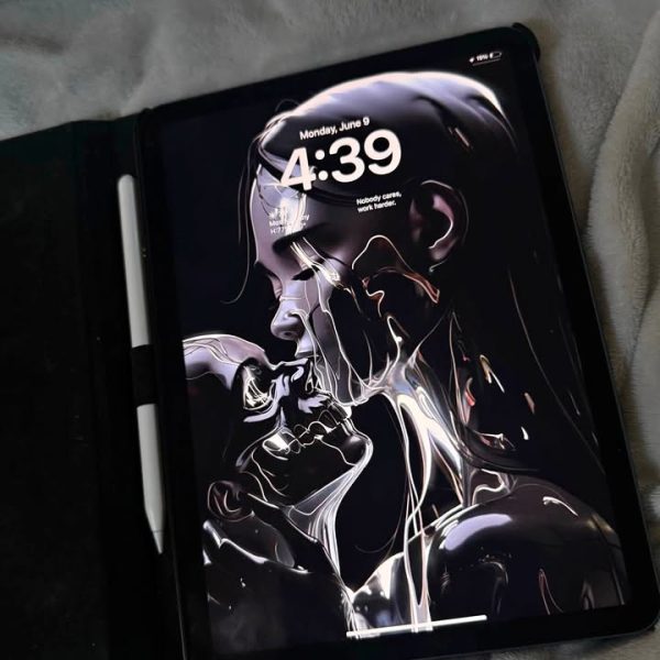 Ipad Air ( 5th gen )