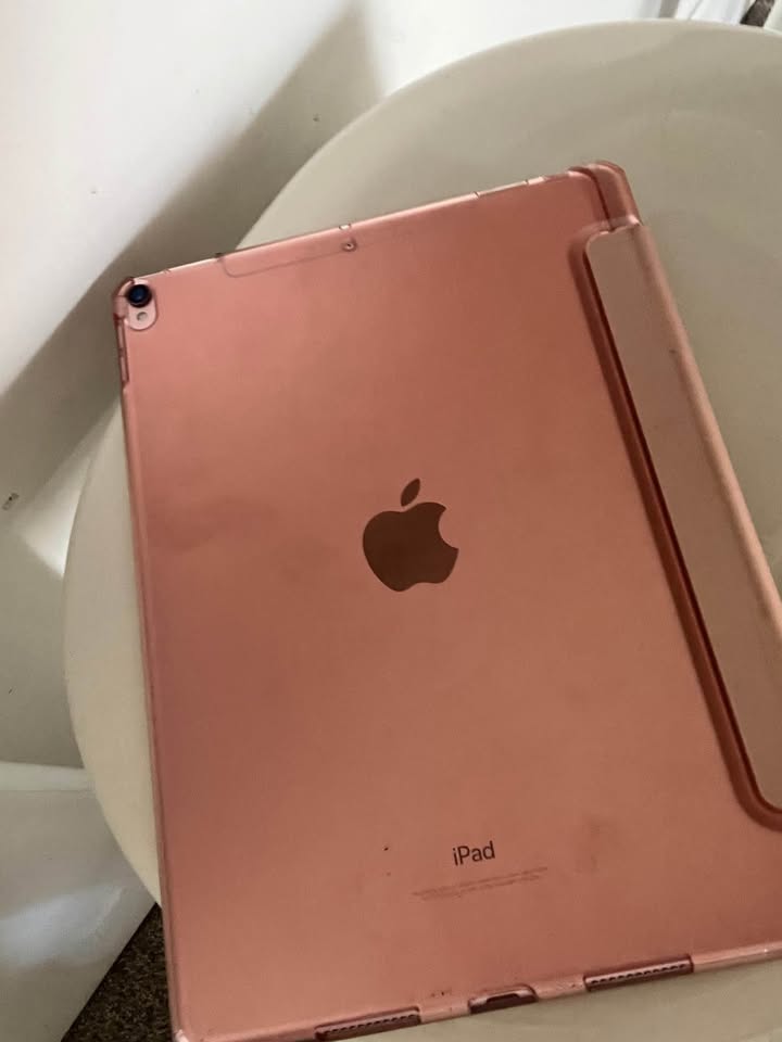 586338381_1419011146261838_6591888503064221137_n