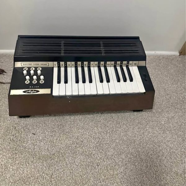 Portable musical instrument organ