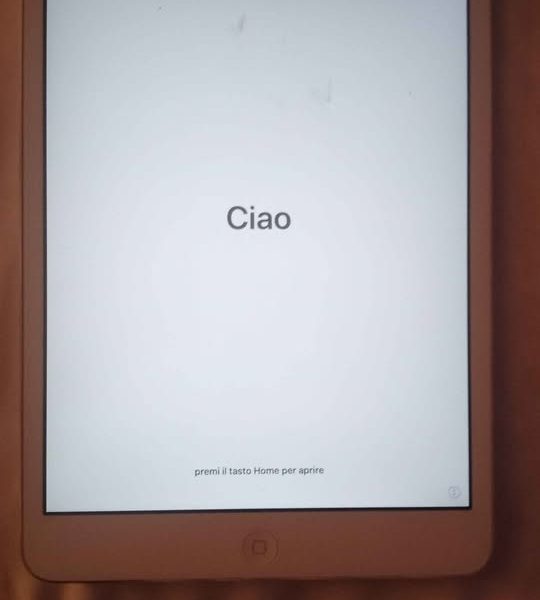 iPad A1490