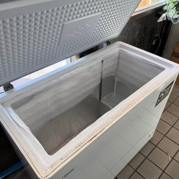 Barely used Danny deep freezer