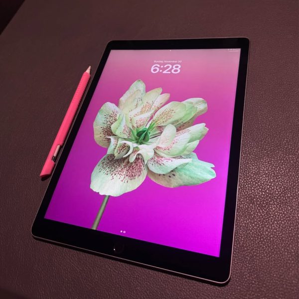 iPad Pro 12.9 inch w/ Apple Pencil