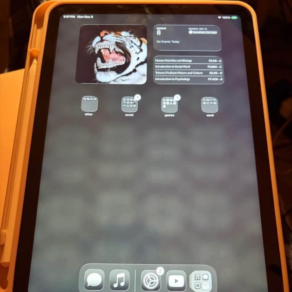 Pink IPad 11-inch A16 with Wi-Fi 256GB