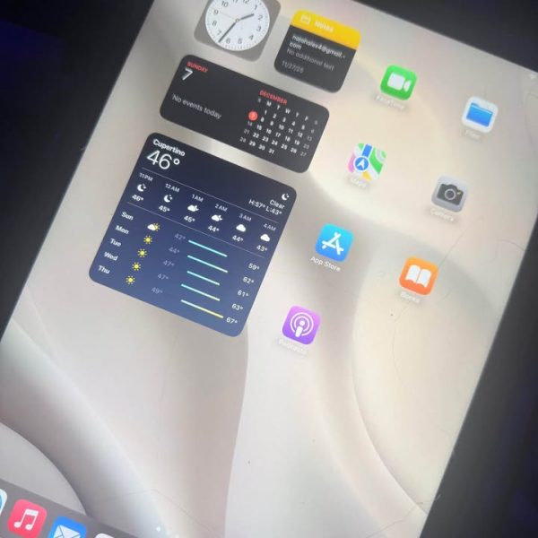 Pink apple iPad 10th gen