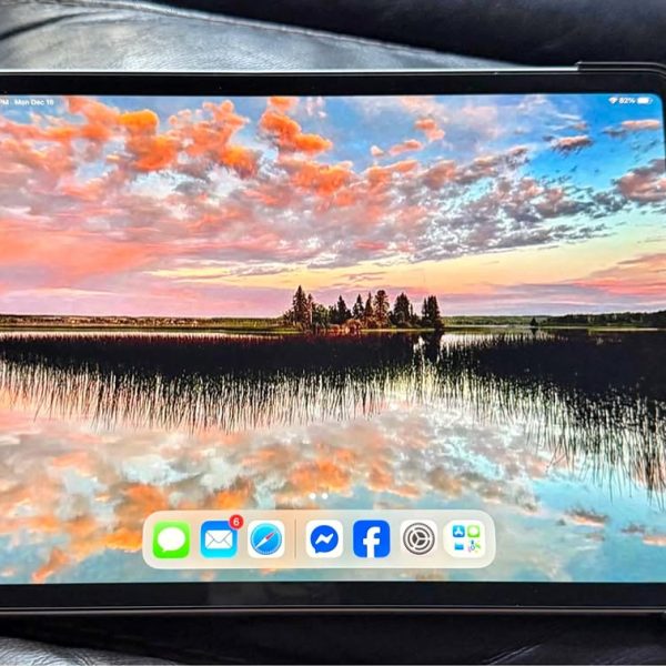 iPad Pro 11” 2nd gen 128GB w Pencil