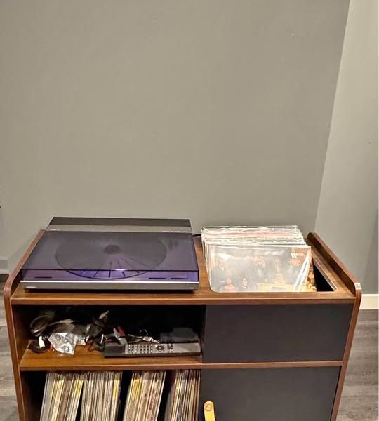 Vinyl Record Storage Stand