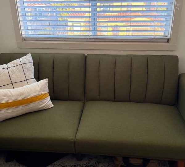 Futon sofa