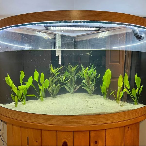 55g corner aquarium w/stand
