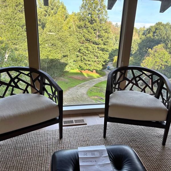 Crate & Barrel chairs