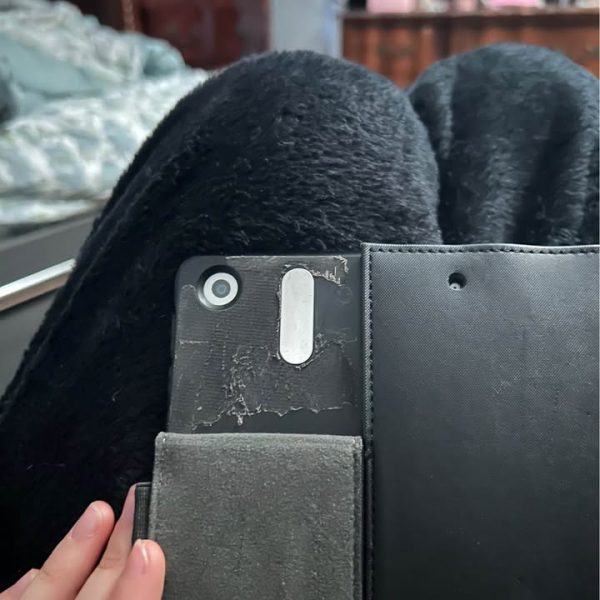 iPad (read description)